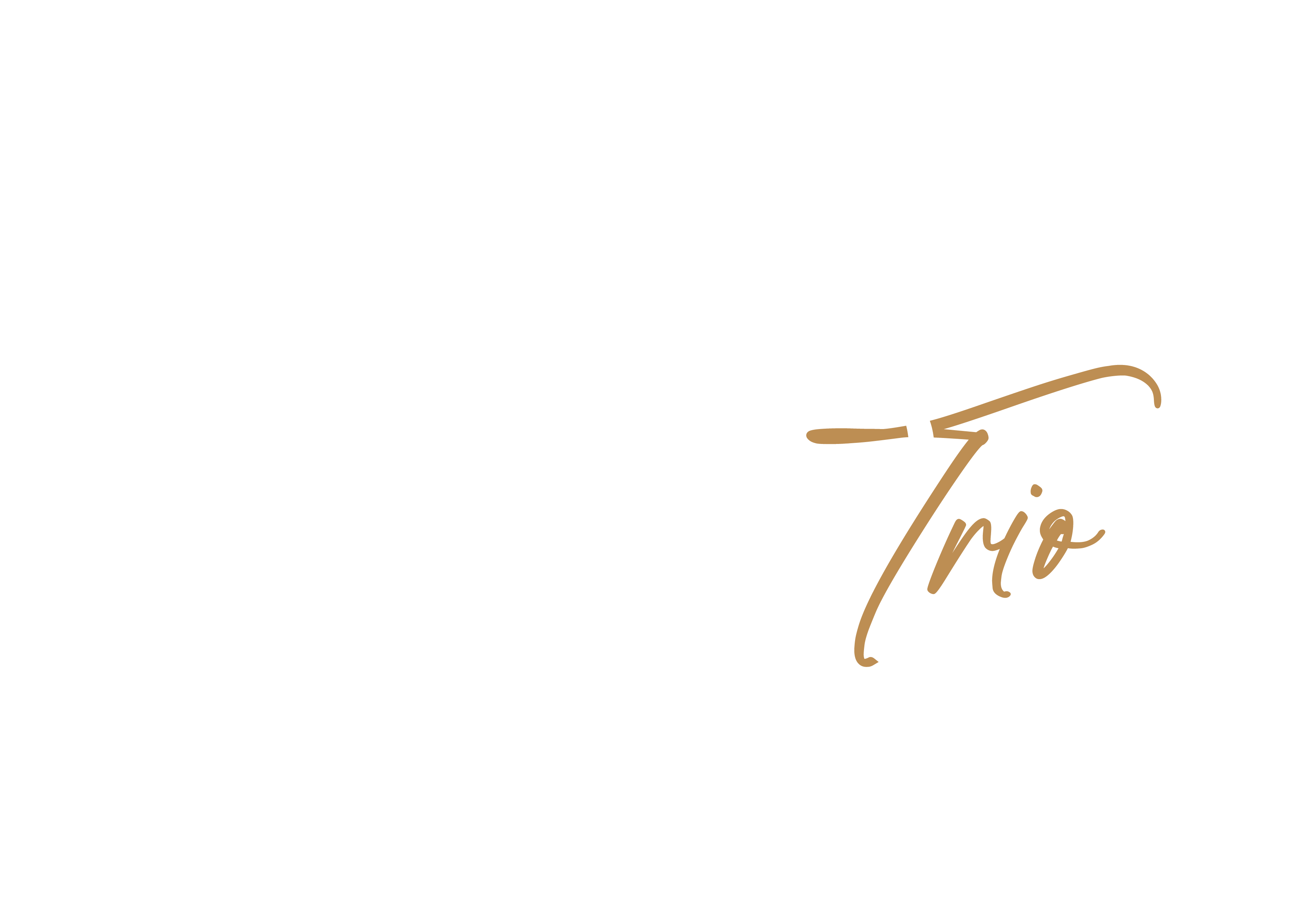 Zayard Trio